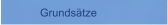 Grundsätze