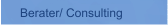 Berater/ Consulting